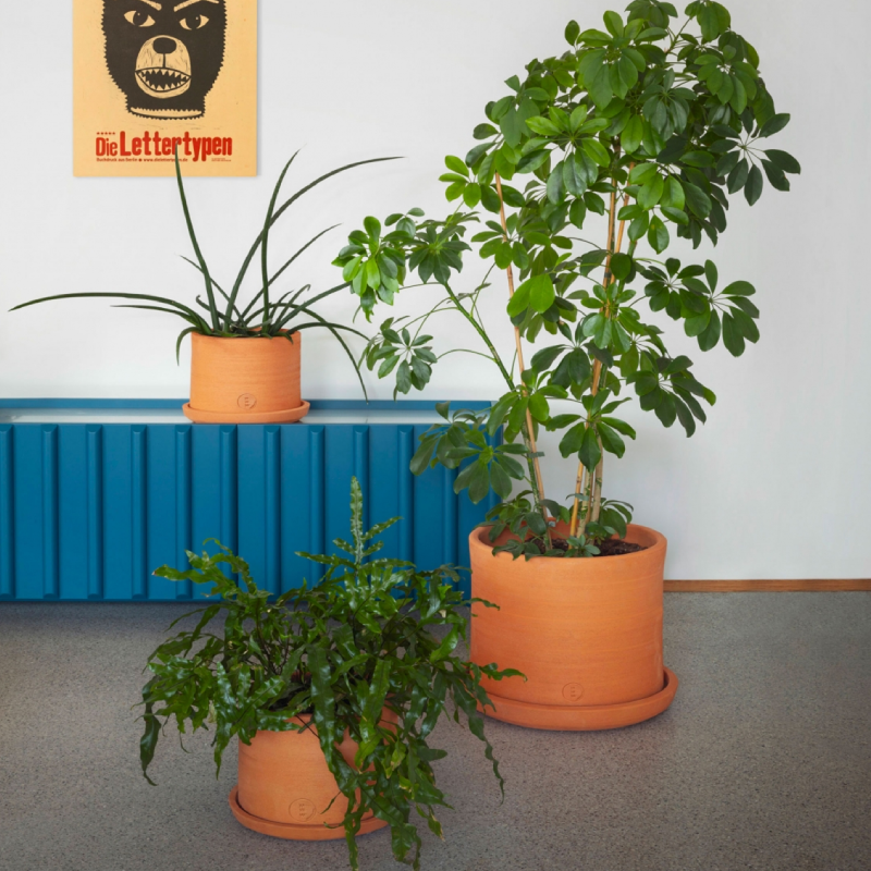 Vases + Planters