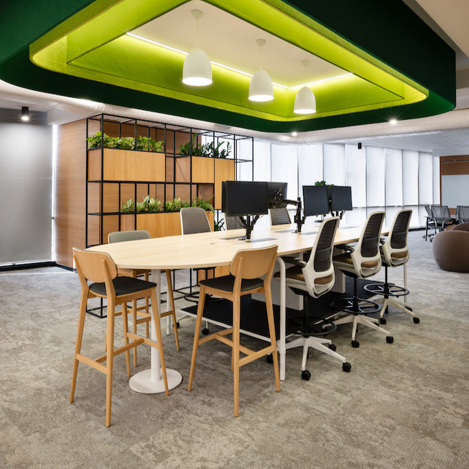 doll Billiani chairs in office