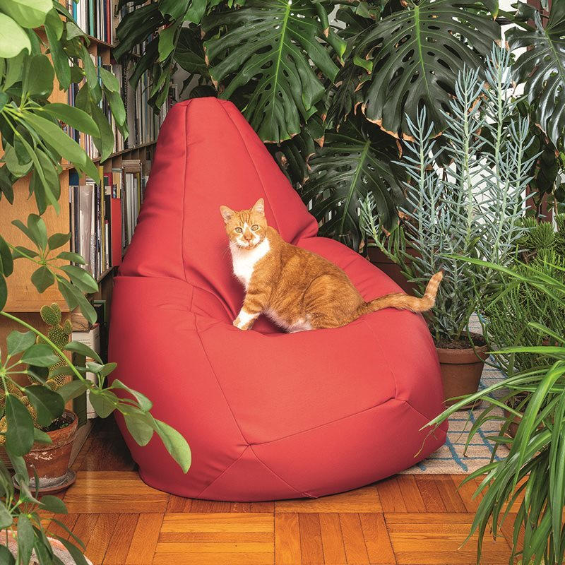 Sacco Bean Bag Zanotta in red with kitten