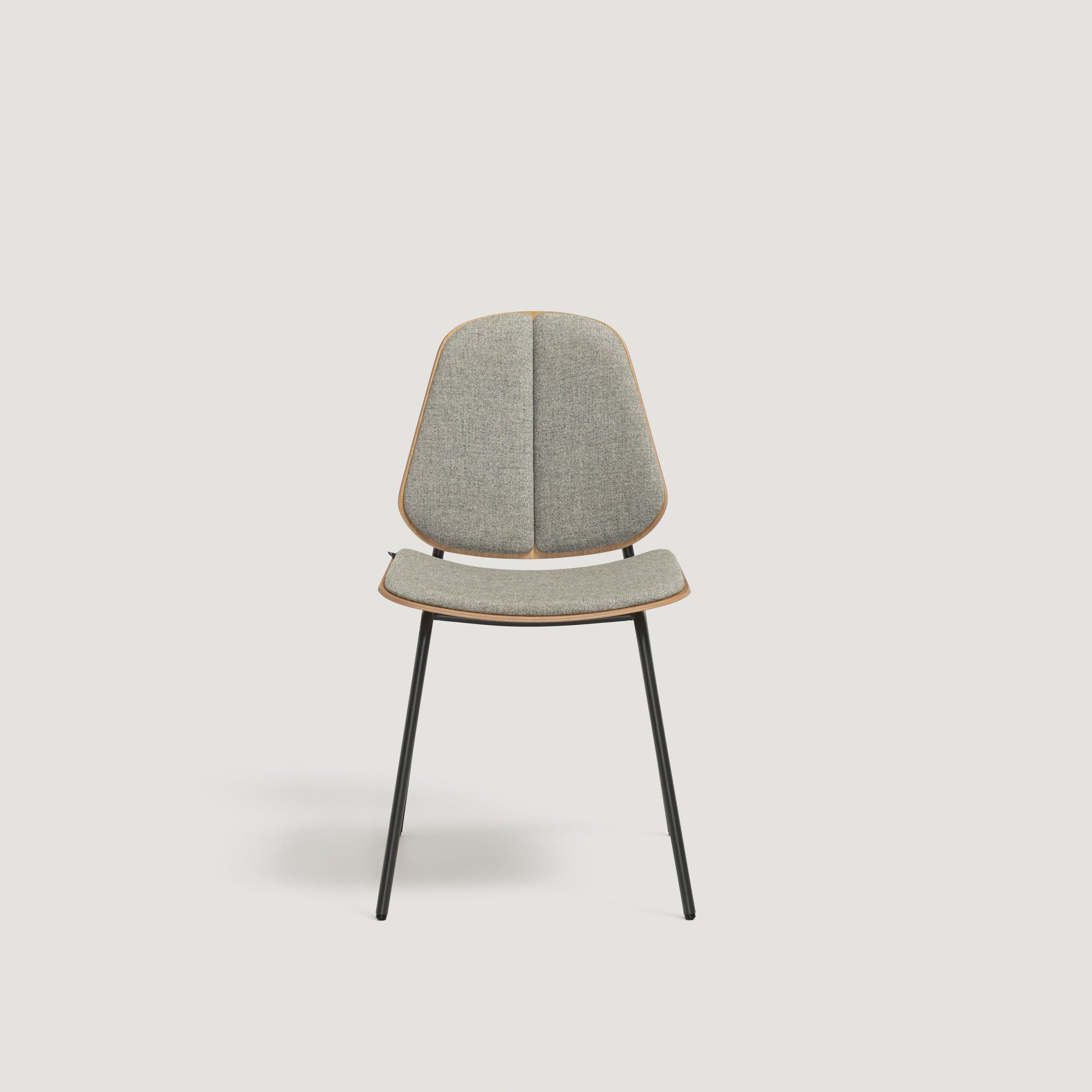 modern luxury furniture