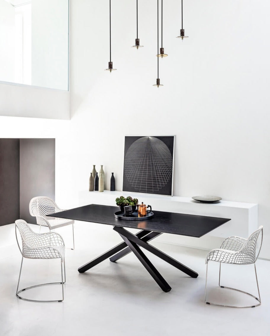 modern luxury furniture