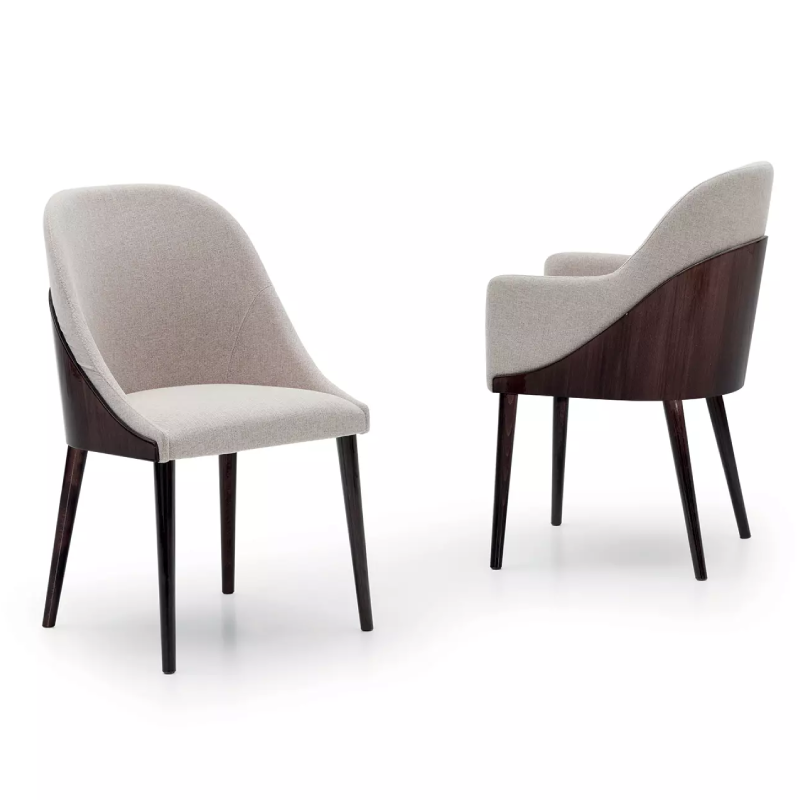 Modern Shell Chair