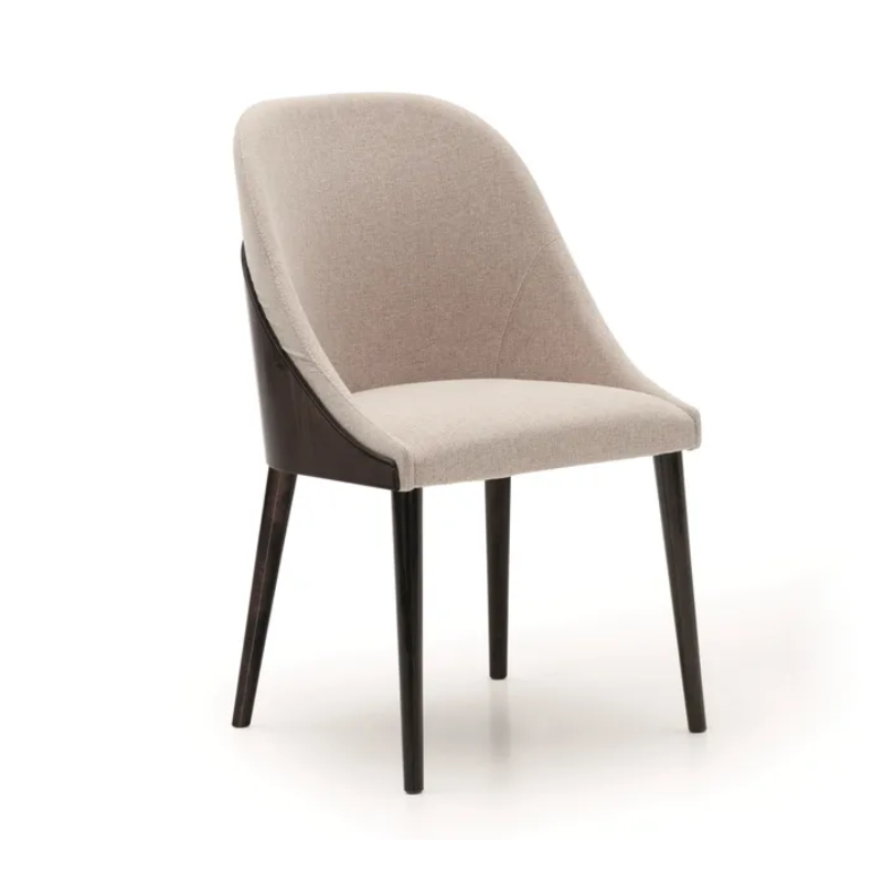 Modern Shell Chair