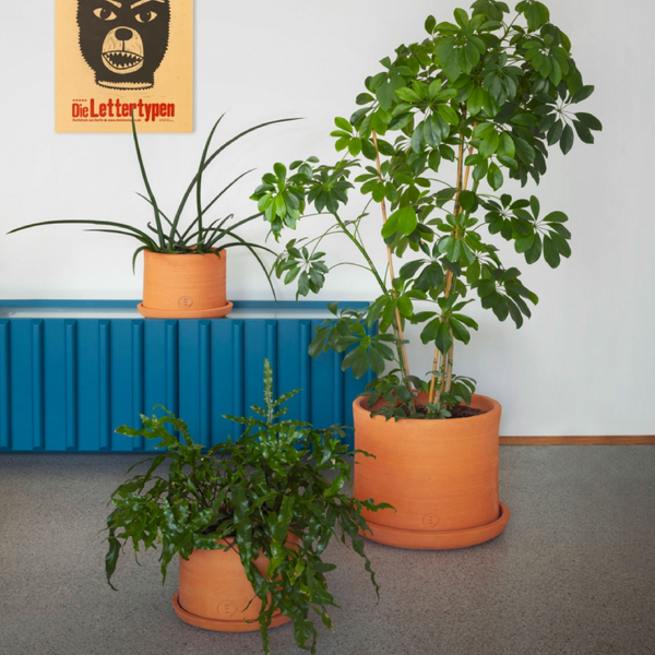 pothen vava Vavava' Planting Pot by Miniforms