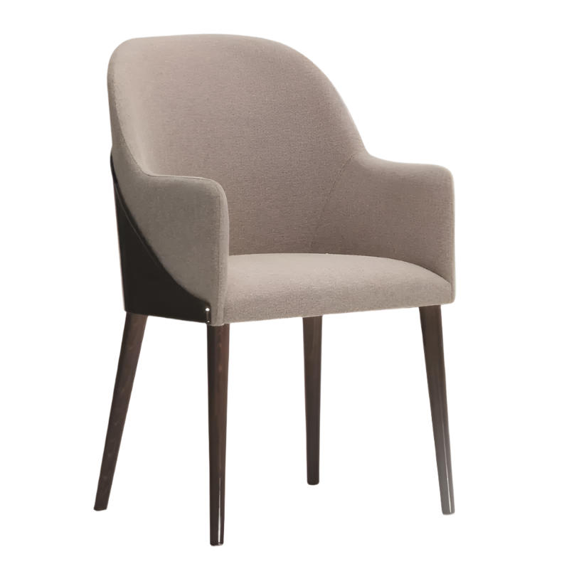 Modern Shell Chair