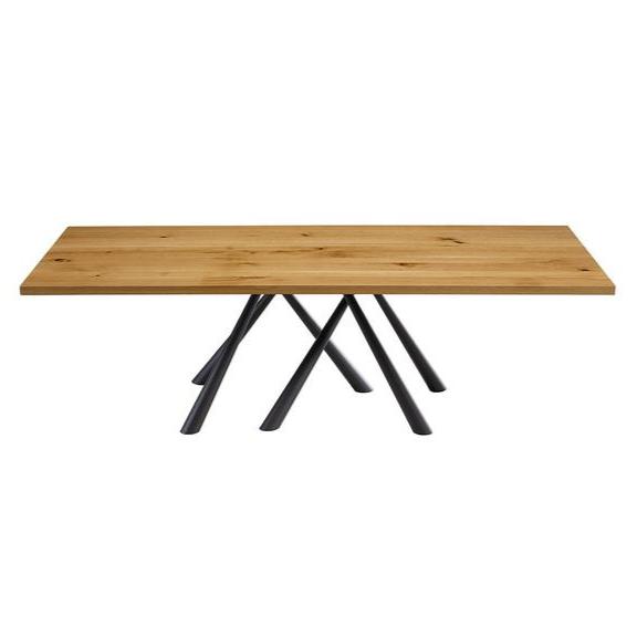 Forest  table Midj