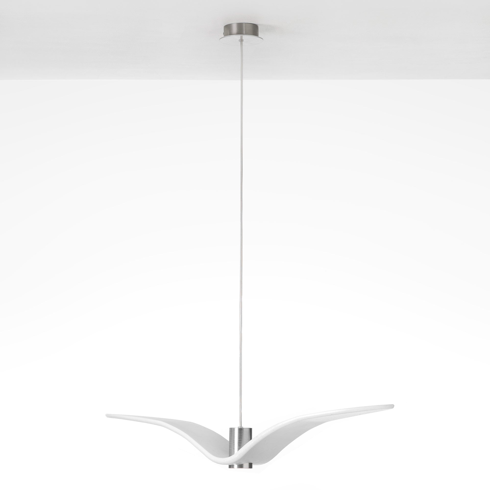 hanging lamp