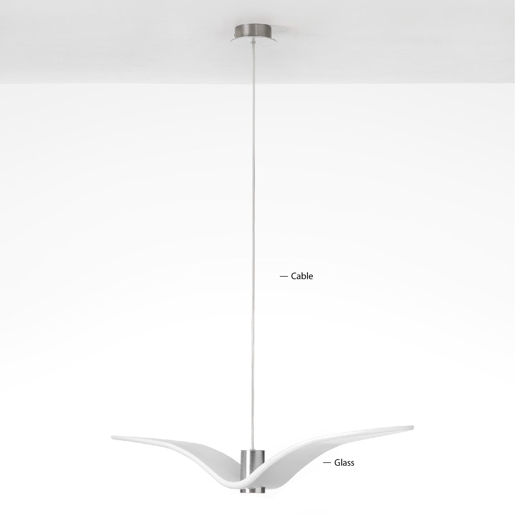 hanging lamp